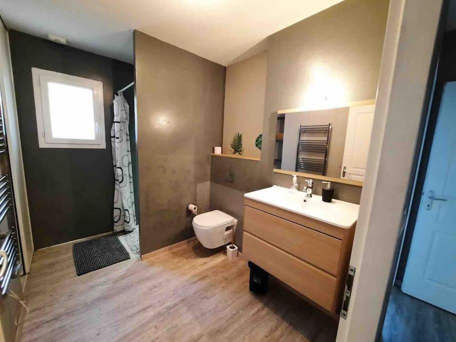 Villa Maison Climatisee Confortable Trebes